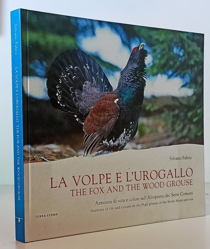 Volpe l urogallo - volpe, l'urogallo